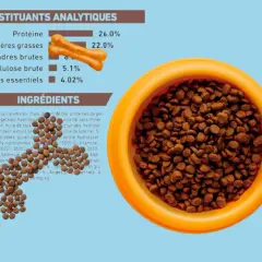 Croquettes pour chien avec 0.35% de cendres brutes, présentées dans une gamelle orange, accompagnées de friandises en forme d'os.