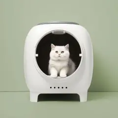 Un chat blanc aux yeux dorés est assis dans une litière futuriste. Il se demande combien de fois un chat fait pipi par jour.