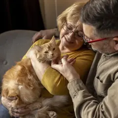 Un couple câline un chat roux. La femme pense à comment faire grossir un chat âgé, lui offrant tendrement son attention.