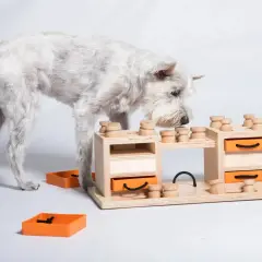Un chien blanc renifle un jeu d'occupation pour chien fait maison en bois avec des tiroirs orange.