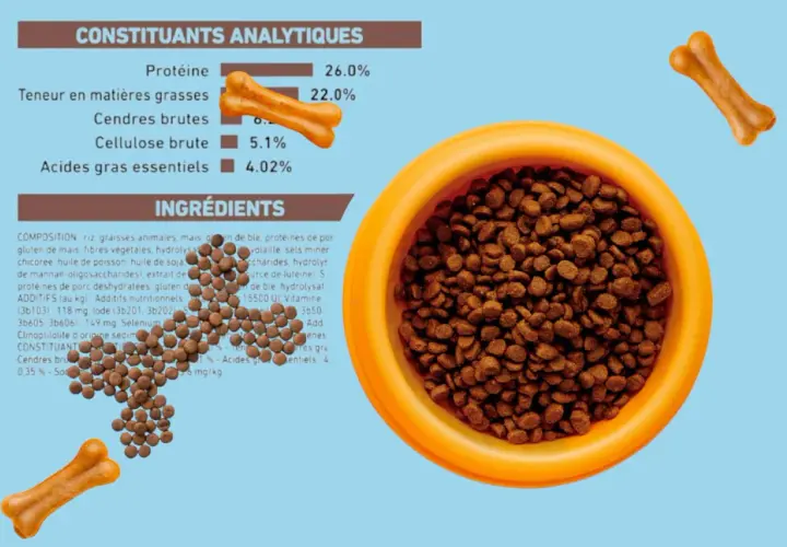 Croquettes pour chien avec 0.35% de cendres brutes, présentées dans une gamelle orange, accompagnées de friandises en forme d'os.