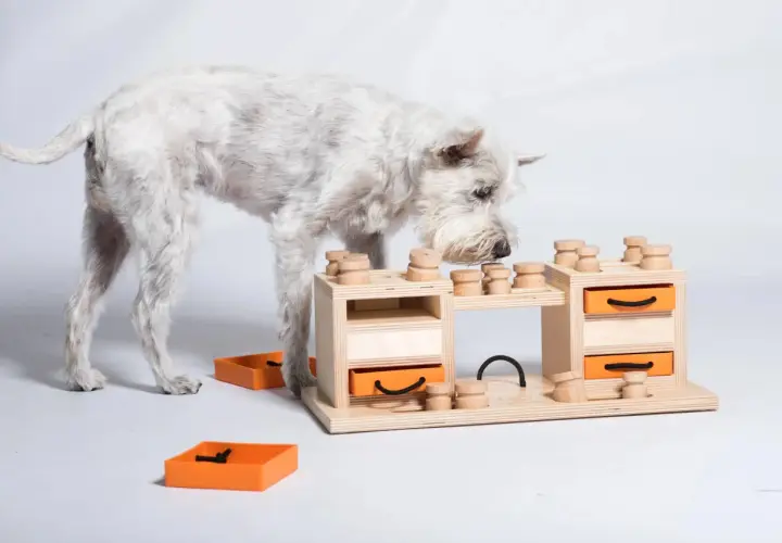 Un chien blanc renifle un jeu d'occupation pour chien fait maison en bois avec des tiroirs orange.