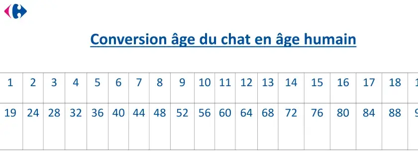 Tableau de conversion âge chat/humain. Un chat de 4 ans en âge réel équivaut à 32 ans en âge humain.