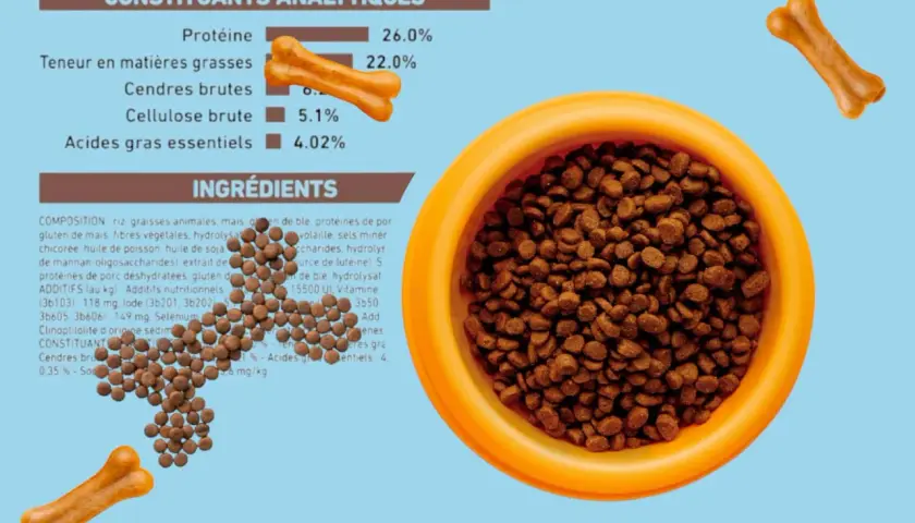 Croquettes pour chien avec 0.35% de cendres brutes, présentées dans une gamelle orange, accompagnées de friandises en forme d'os.