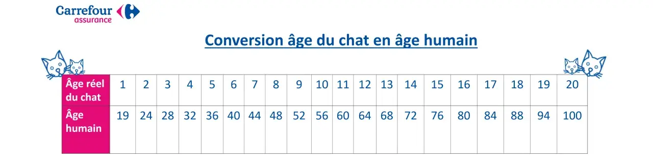 Tableau de conversion âge chat/humain. Un chat de 4 ans en âge réel équivaut à 32 ans en âge humain.
