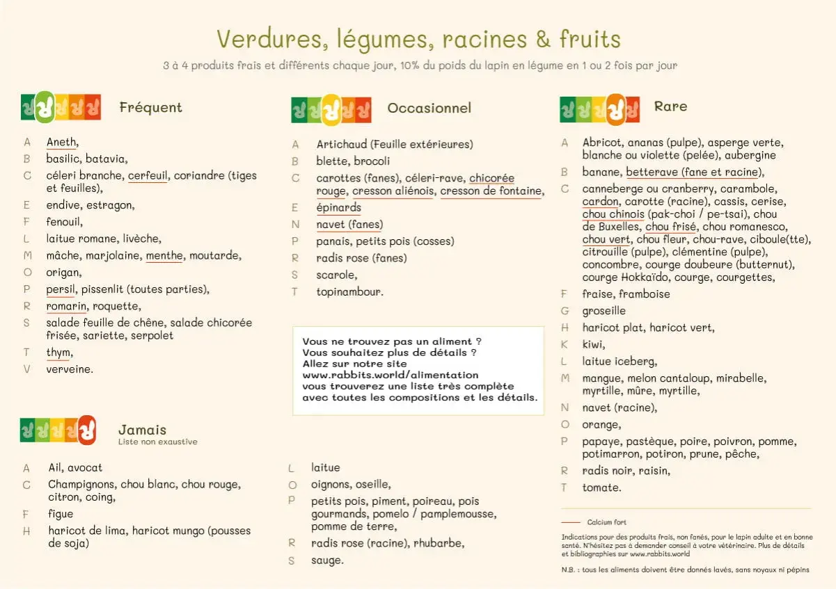 Endive et radis rose, parfaits pour un lapin nain gourmand. Cette liste aide à choisir des légumes frais.