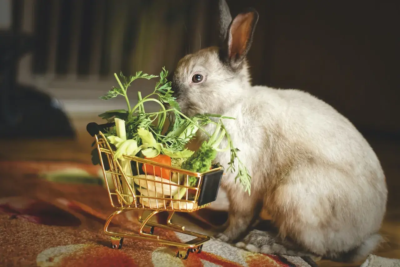 Un lapin nain savoure des légumes frais sortis d'un mini chariot. Une scène adorable illustrant l'alimentation du lapin nain.