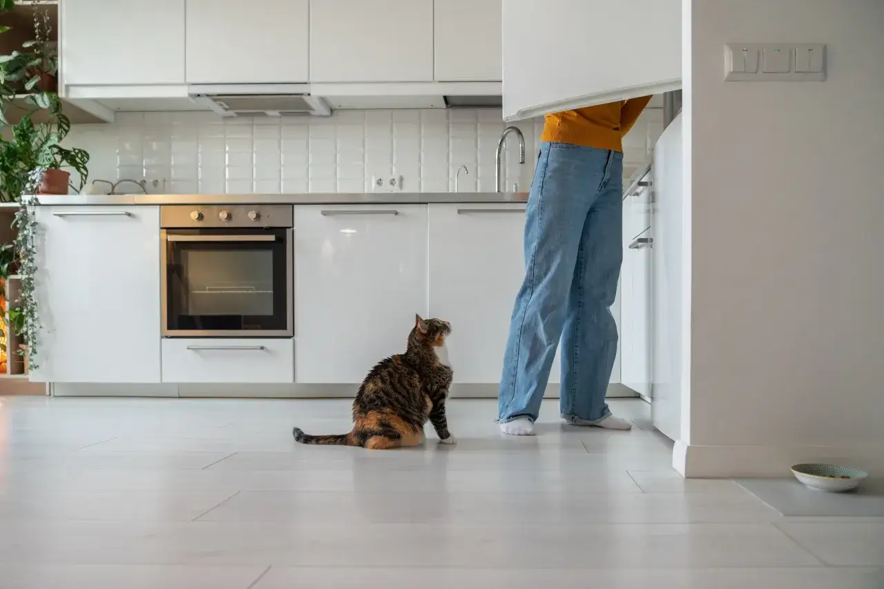 Dans la cuisine, mon chat me suit partout. Il est assis sur le sol blanc, regardant la personne près du réfrigérateur.