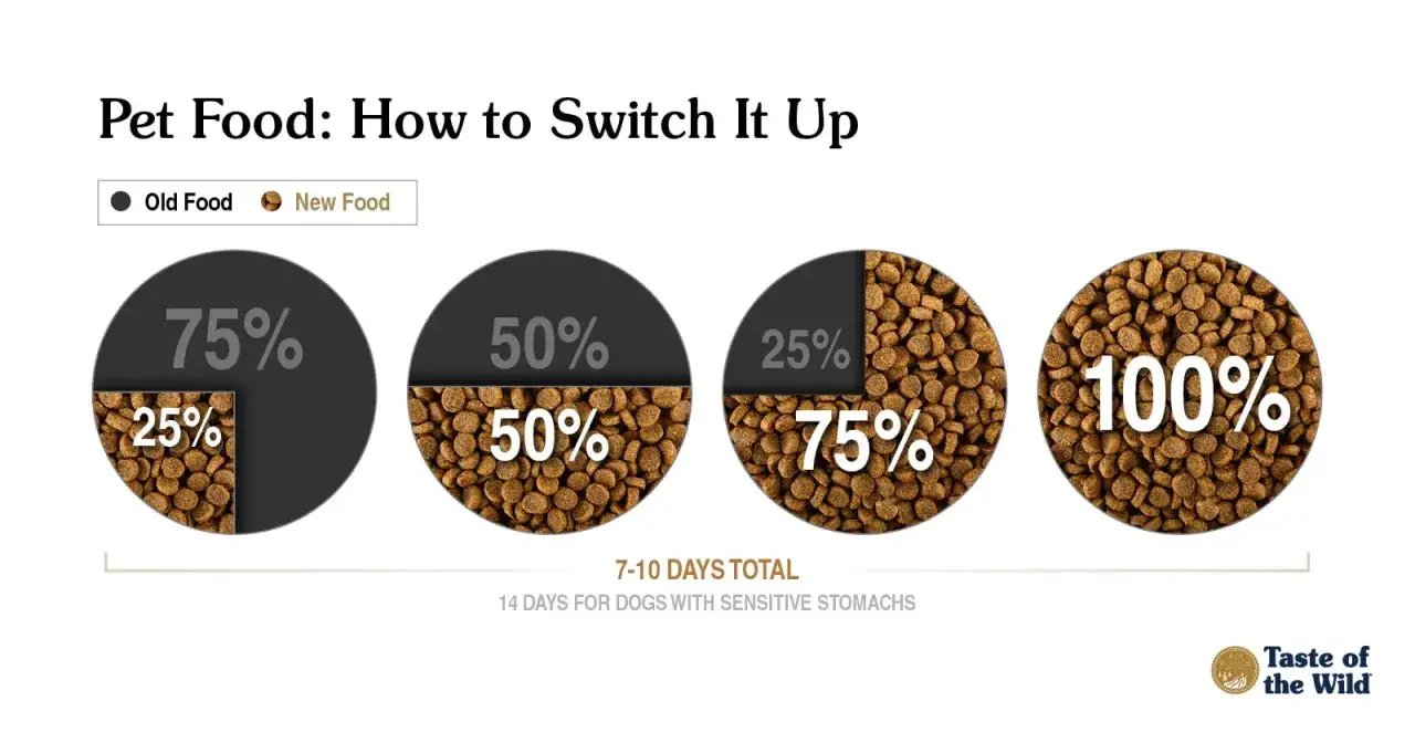 Graphique montrant la transition croquette chien : 25% nouvelle nourriture, puis 50%, puis 75%, et enfin 100% sur 7-10 jours.