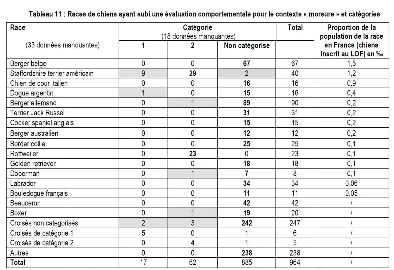Statistique morsure de chien par race : le tableau d&eacute;taille les cas par cat&eacute;gorie et proportion. Le Staffordshire terrier am&eacute;ricain a 9 cas en cat&eacute;gorie 1.
