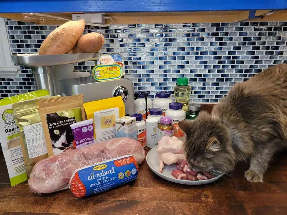 Pr&eacute;paration d'une alimentation maison pour un chat malade du foie : viande crue, compl&eacute;ments et patates douces.